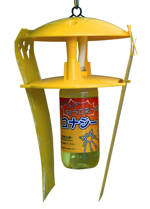 コジコージ様 予備検査 コジコージ様 予備検査