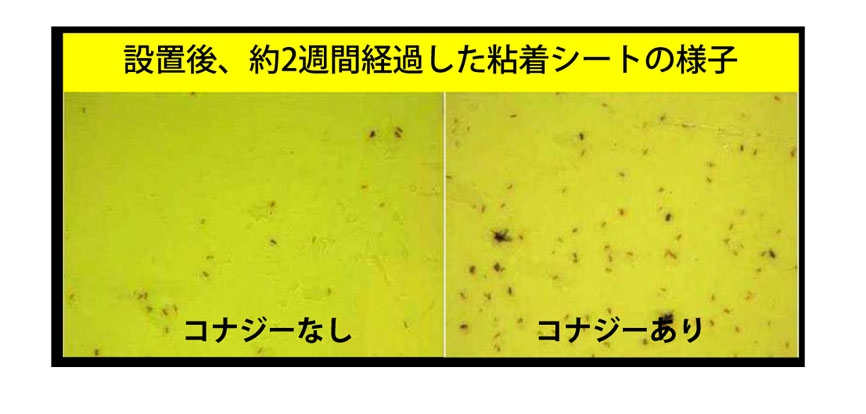 売買 機械工具のラプラスナビス 差し込みベスト オレンジ70018